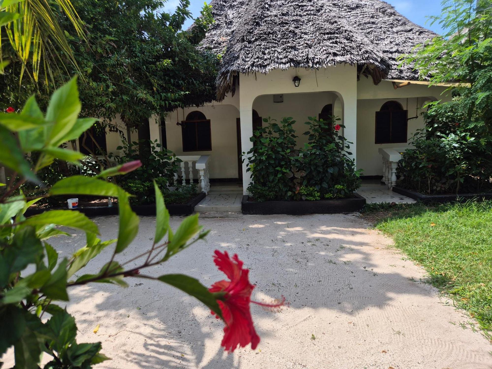 Homestay Ellavita Nungwi Zanzibar